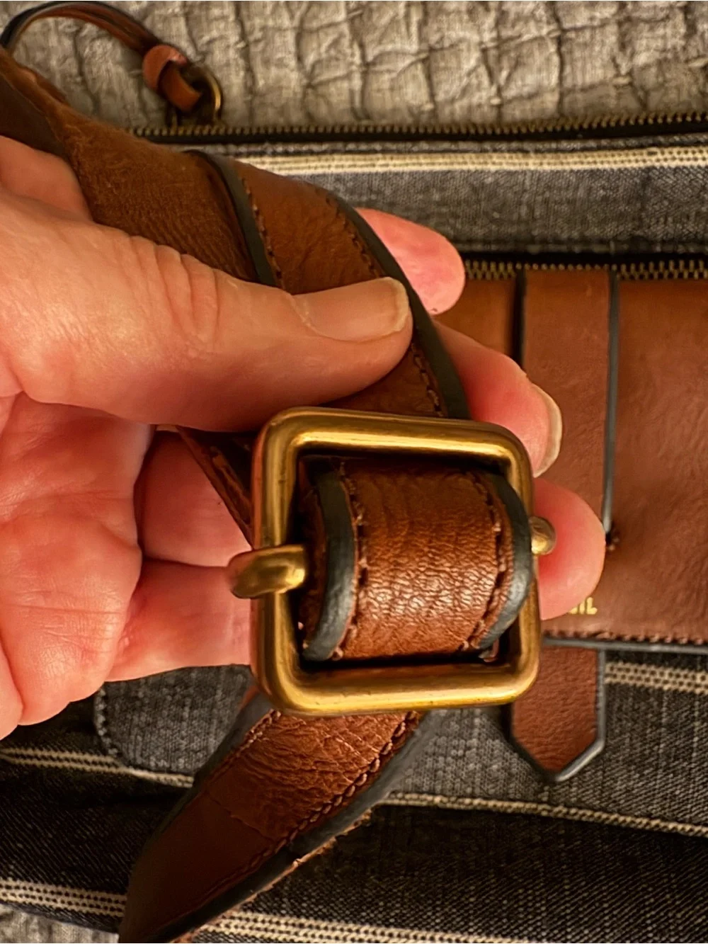 Fossil super cute